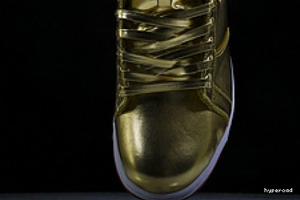 Hyperoad Air Jordan 1 x TRUMP 0819